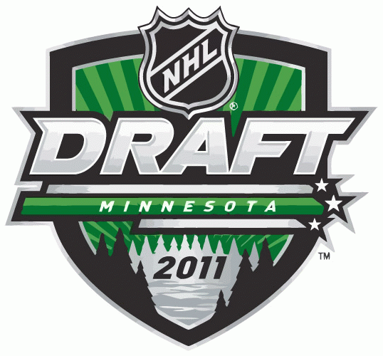 NHL Draft 2011 Primary Logo iron on transfers for T-shirts